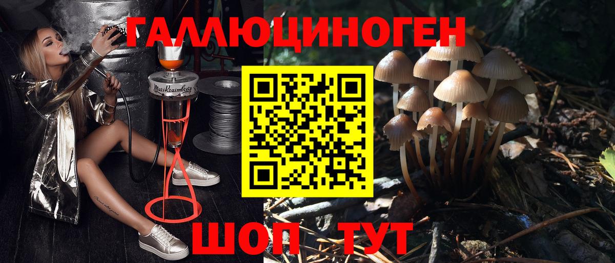 Галлюциногенные грибы Magic Shrooms Мценск