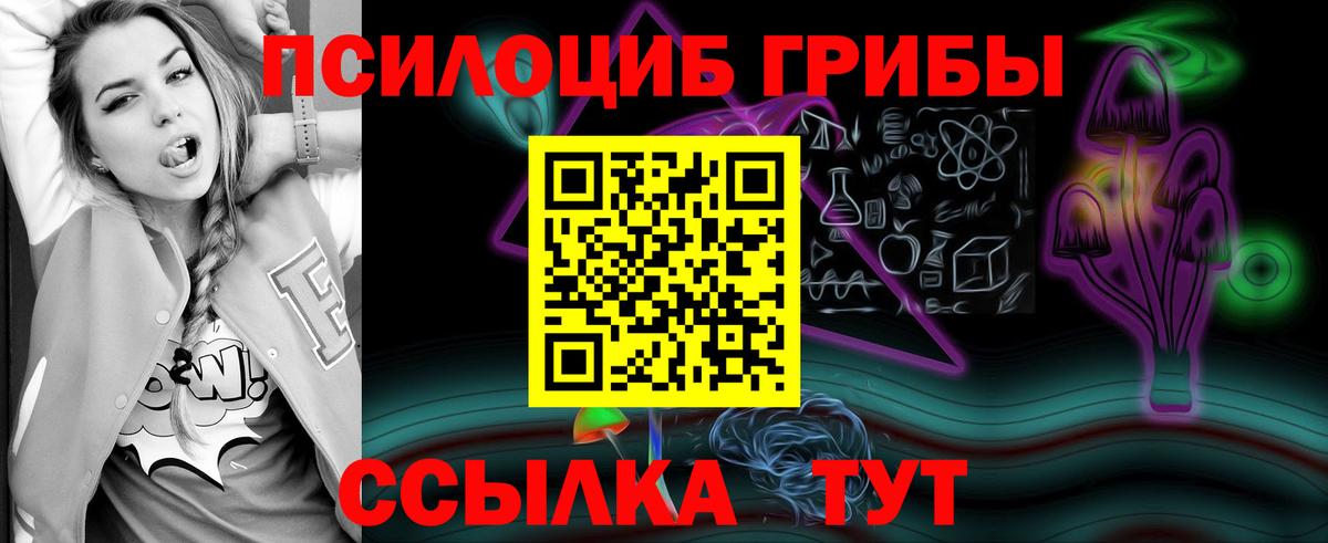 Галлюциногенные грибы прущие грибы  Галлюциногенные грибы MAGIC MUSHROOMS  Мценск  Вход с VPN 